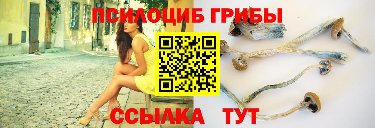 Галлюциногенные грибы GOLDEN TEACHER  Вход с VPN  Псилоцибиновые грибы ЛСД  Елец 